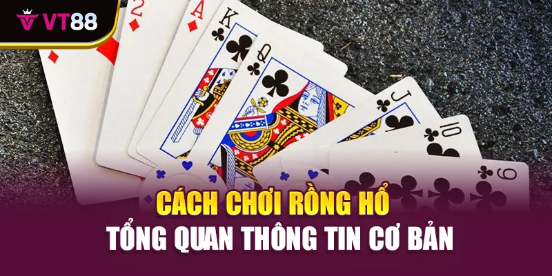 Cách chơi Rồng Hổ - Tổng quan thông tin cơ bản