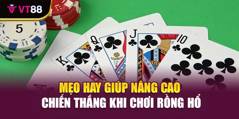Mẹo hay giúp nâng cao chiến thắng khi chơi Rồng Hổ